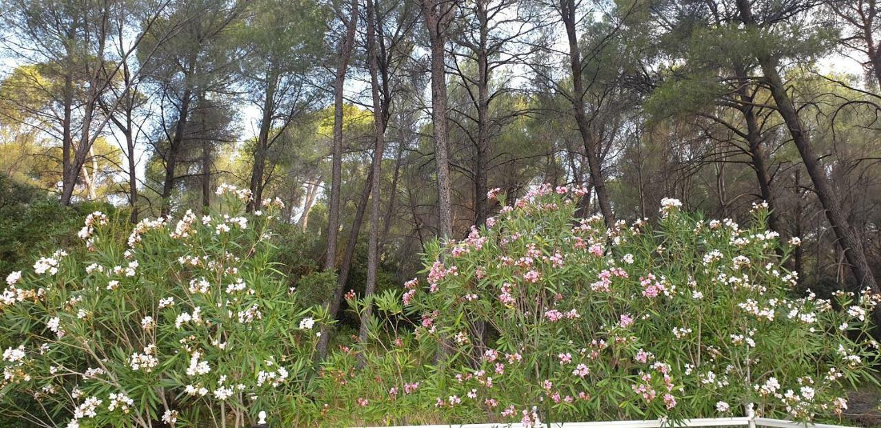 La Teze Villa Le Castellet  Bagian luar foto